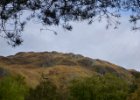 [1003] Tag17 - Zug Edinburgh